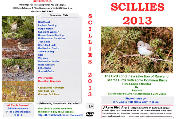 Scillies-2013