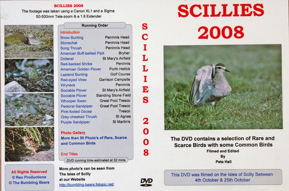 Scillies 2008
