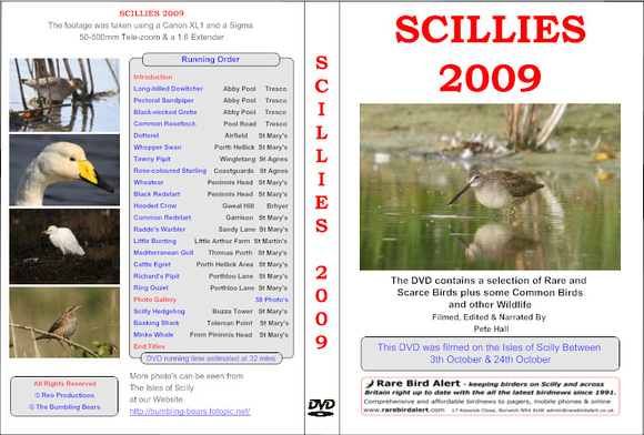 Scillies 2009